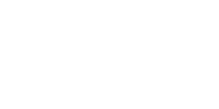 WorldMatch icon